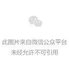 “金椰奖”竞赛单元评委见面会回顾 插图