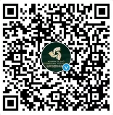 第五届海南岛国际电影节启动全球征片 插图