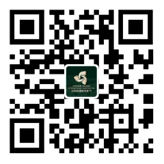 第五届海南岛国际电影节全球征片公告 插图