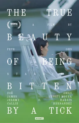 《蜱虫叮咬的真实之美》海报