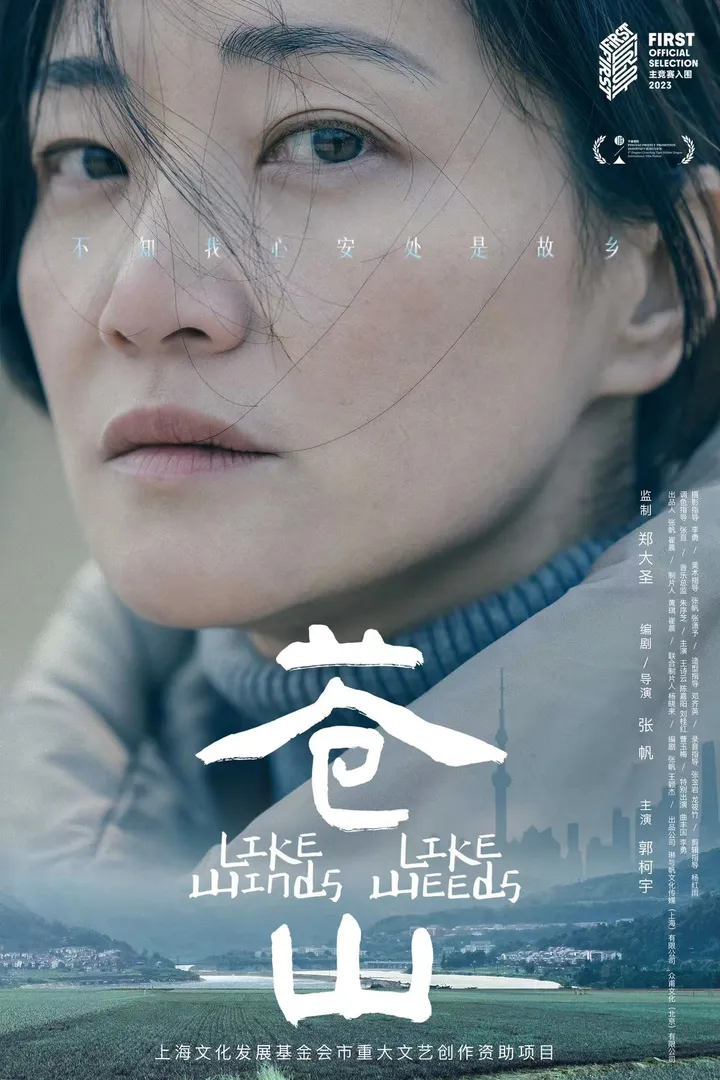 《苍山》海报