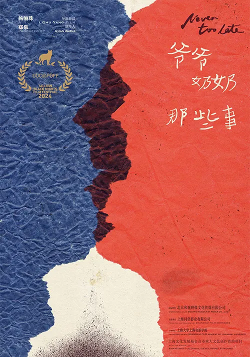 《爷爷奶奶那些事》海报
