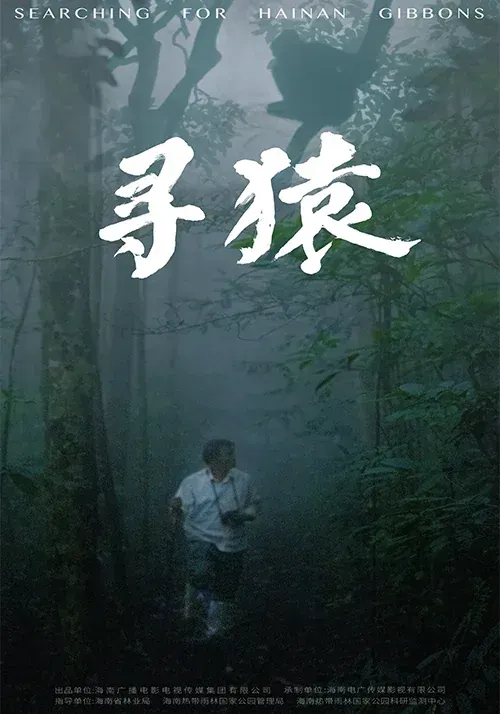 寻猿海报